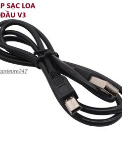 Cáp sạc loa đầu v3 - Ảnh 2